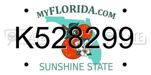 K528299 Florida License Plate