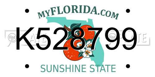 K528799 Florida License Plate