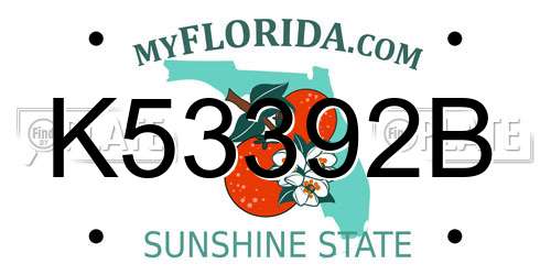 K53392B Florida License Plate