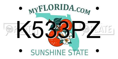 K533PZ Florida License Plate