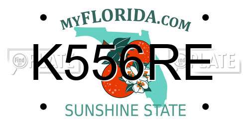 K556RE Florida License Plate