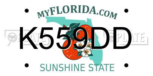 K559DD Florida License Plate