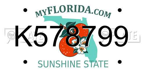 K578799 Florida License Plate