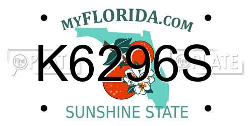 K6296S Florida License Plate