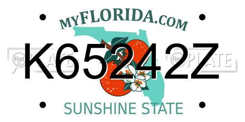 K65242Z Florida License Plate