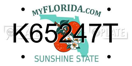 K65247T Florida License Plate