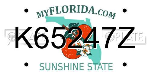 K65247Z Florida License Plate