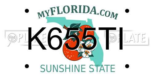 K655TI Florida License Plate