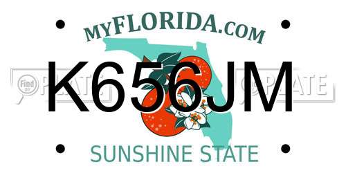 K656JM Florida License Plate