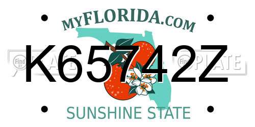 K65742Z Florida License Plate