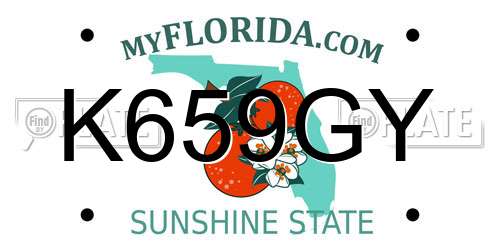 K659GY Florida License Plate