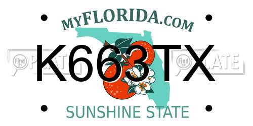 K663TX Florida License Plate