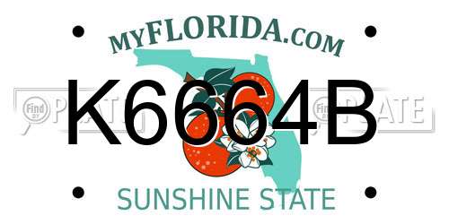 K6664B Florida License Plate