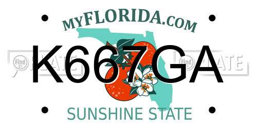 K667GA Florida License Plate