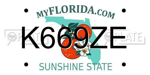 K669ZE Florida License Plate