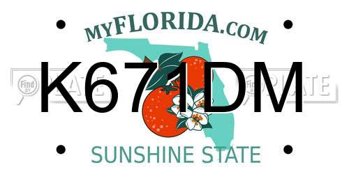 K671DM Florida License Plate