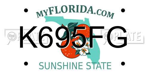 K695FG Florida License Plate