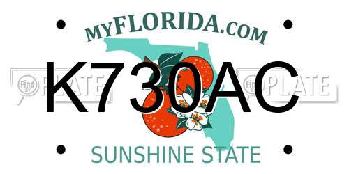 K730AC Florida License Plate