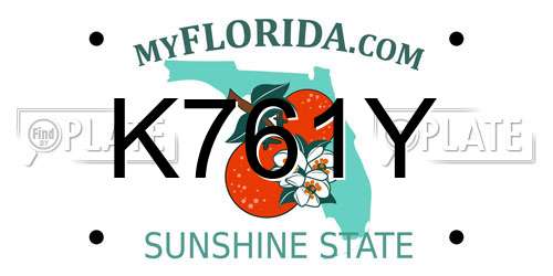 K761Y Florida License Plate