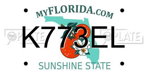 K773EL Florida License Plate