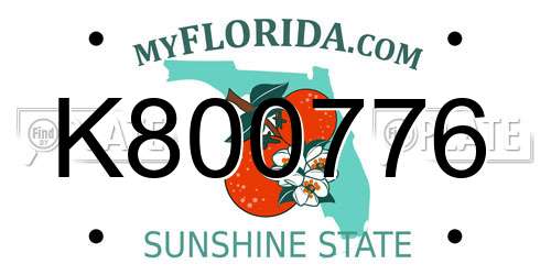 K800776 Florida License Plate