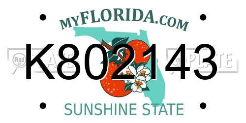 K802143 Florida License Plate