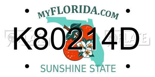 K80214D Florida License Plate