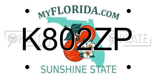 K802ZP Florida License Plate
