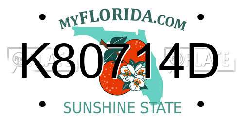 K80714D Florida License Plate