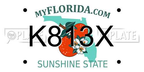 K813X Florida License Plate