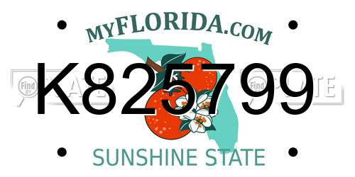 K825799 Florida License Plate