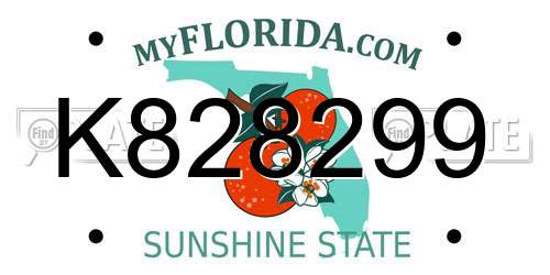 K828299 Florida License Plate