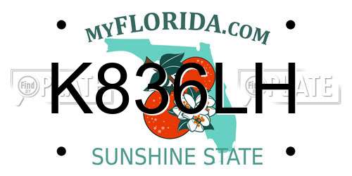 K836LH Florida License Plate