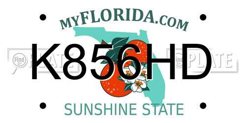 K856HD Florida License Plate