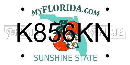 K856KN Florida License Plate