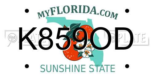 K859OD Florida License Plate
