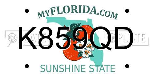 K859QD Florida License Plate