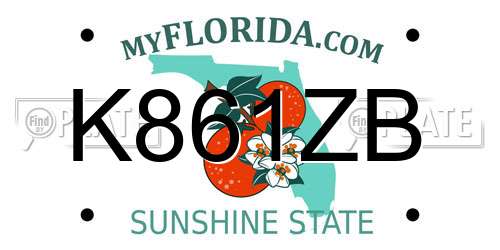 K861ZB Florida License Plate