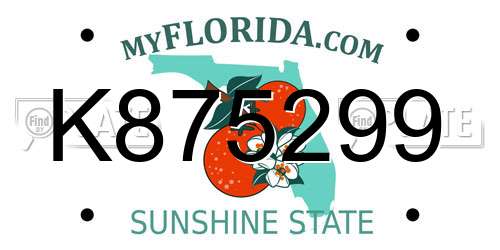K875299 Florida License Plate