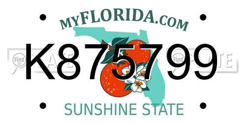K875799 Florida License Plate