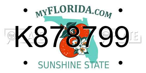 K878799 Florida License Plate
