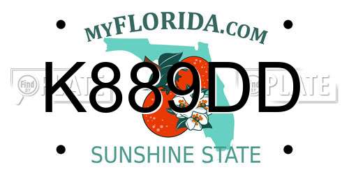 K889DD Florida License Plate