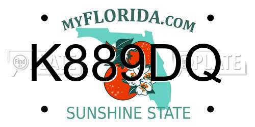 K889DQ Florida License Plate