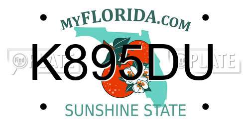 K895DU Florida License Plate
