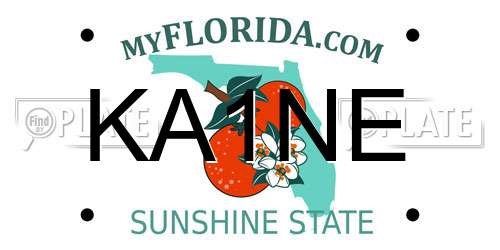 KA1NE Florida License Plate