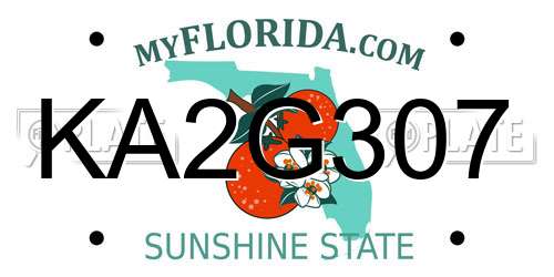 KA2G307 Florida License Plate