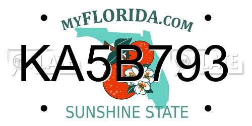 KA5B793 Florida License Plate