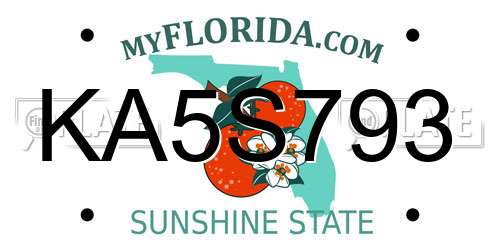 KA5S793 Florida License Plate