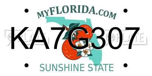 KA7G307 Florida License Plate
