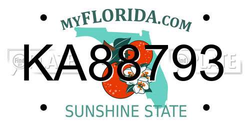 KA88793 Florida License Plate